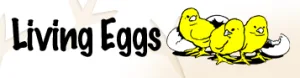 Living Eggs
